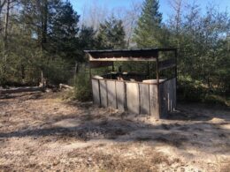 Hog Blind 1