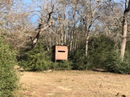 hog stand 2