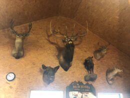 inside lodge 1