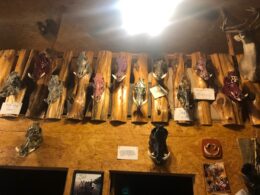 inside lodge 2 custom hog skulls